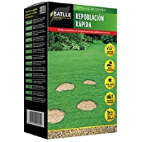 Semillas de Césped - Césped Repoblación Rápida 1Kg - Batlle